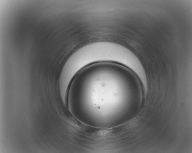 X0000067490172200604150051