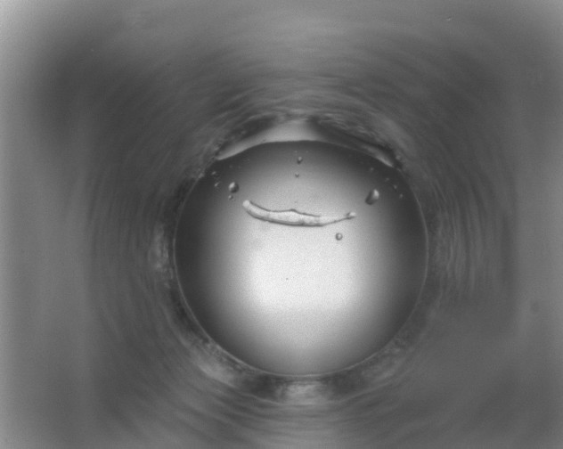 X0000067490173200604150051