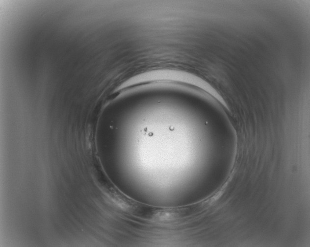 X0000067490174200604150051