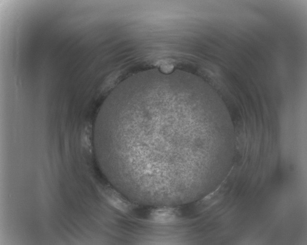 X0000067490175200604150051