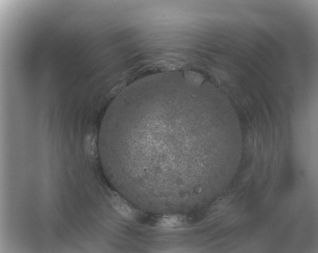 X0000067490177200604150051