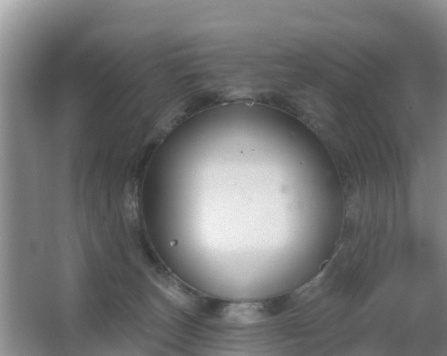 X0000067490179200604150051