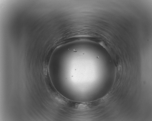 X0000067490180200604150051