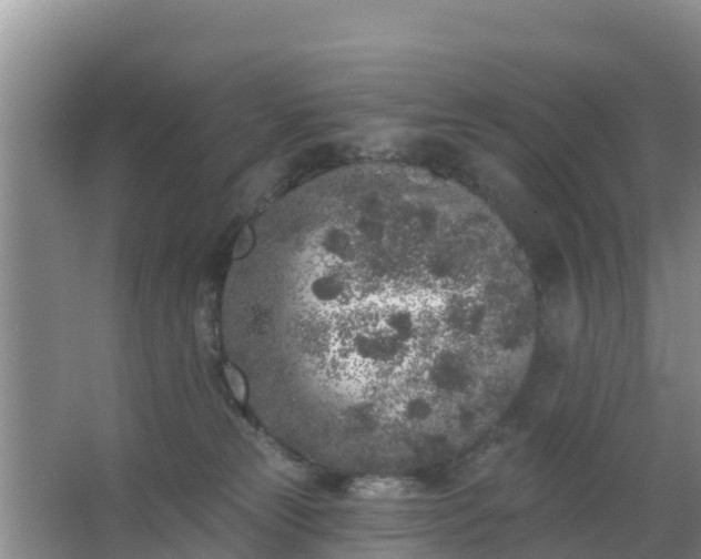 X0000067490181200604150051