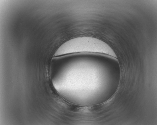 X0000067490182200604150051