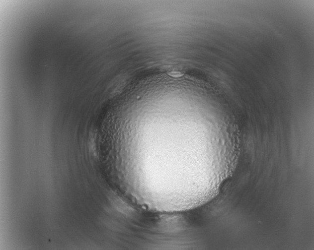 X0000067490185200604150051