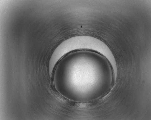 X0000067490187200604150051