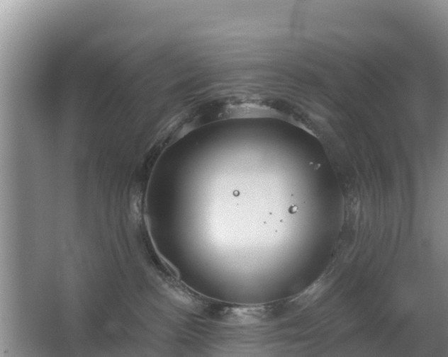 X0000067490188200604150051