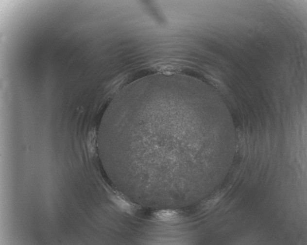 X0000067490189200604150051