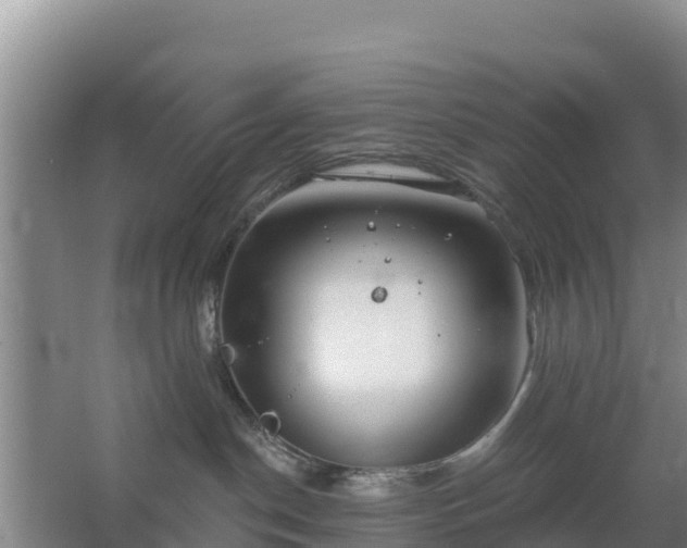 X0000067490190200604150051