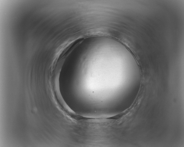 X0000067490193200604150050