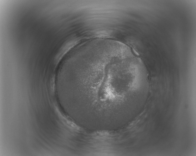 X0000067490194200604150050