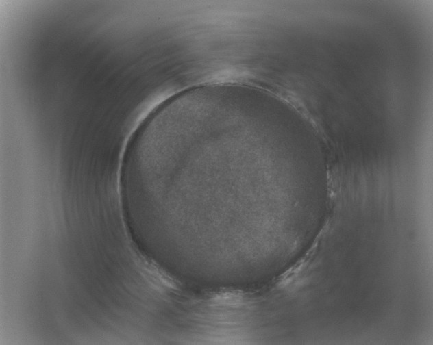 X0000067490196200604150050