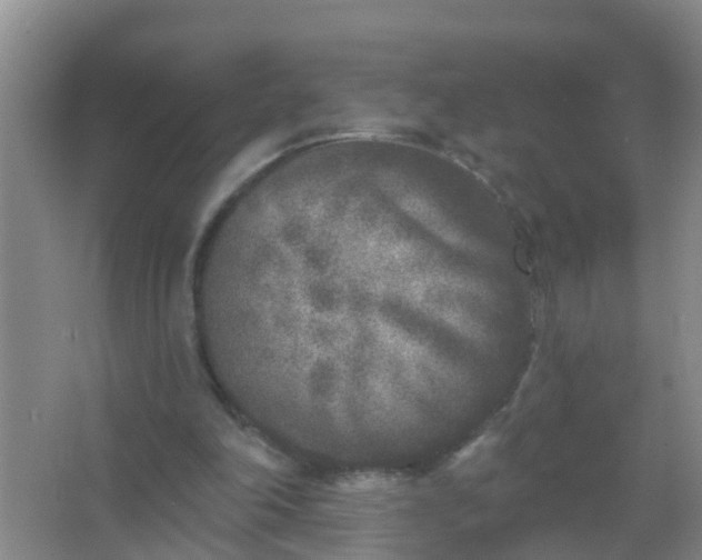 X0000067490198200604150050