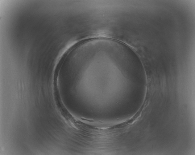 X0000067490200200604150050