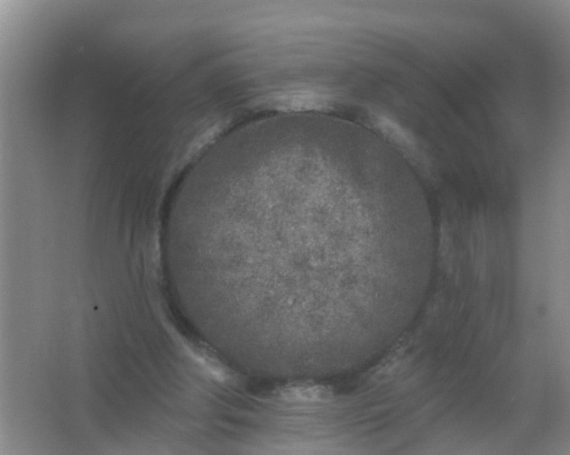 X0000067490202200604150050