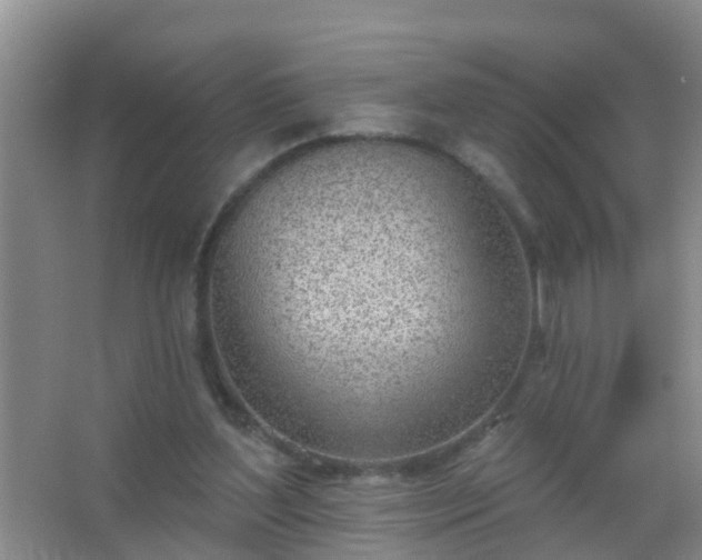 X0000067490204200604150050