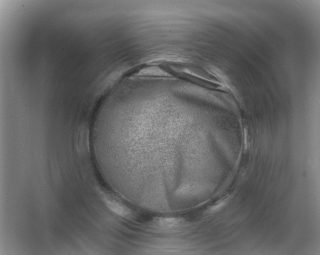 X0000067490205200604150050