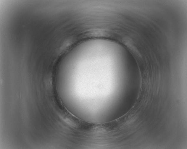 X0000067490207200604150050