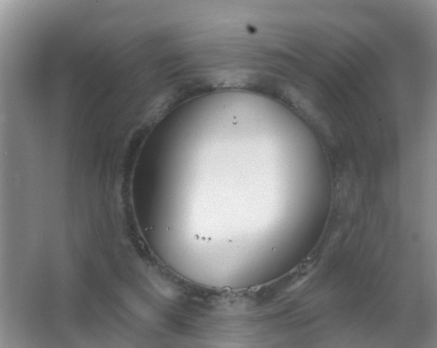 X0000067490209200604150050