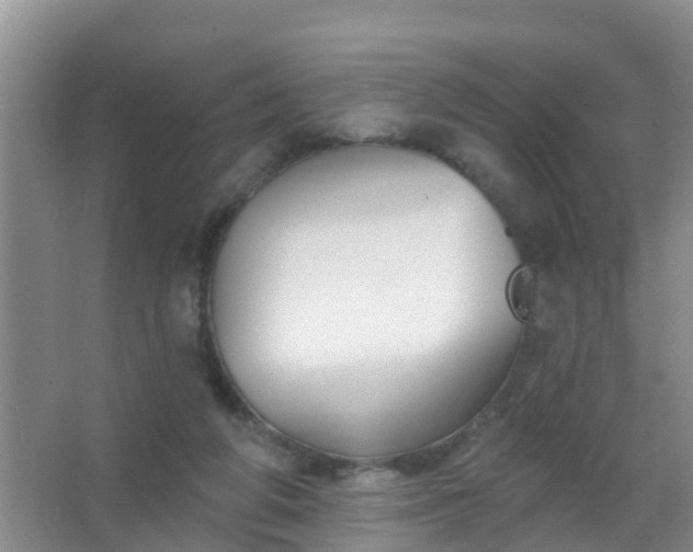 X0000067490210200604150050