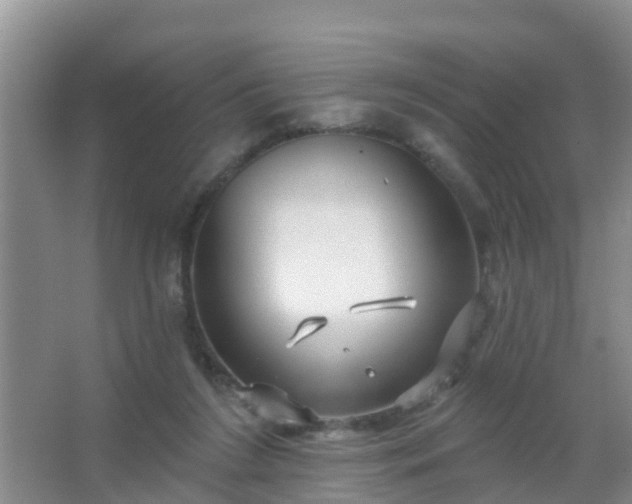 X0000067490212200604150050