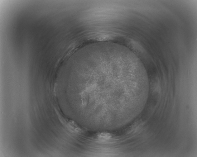 X0000067490214200604150050