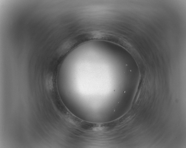 X0000067490216200604150050