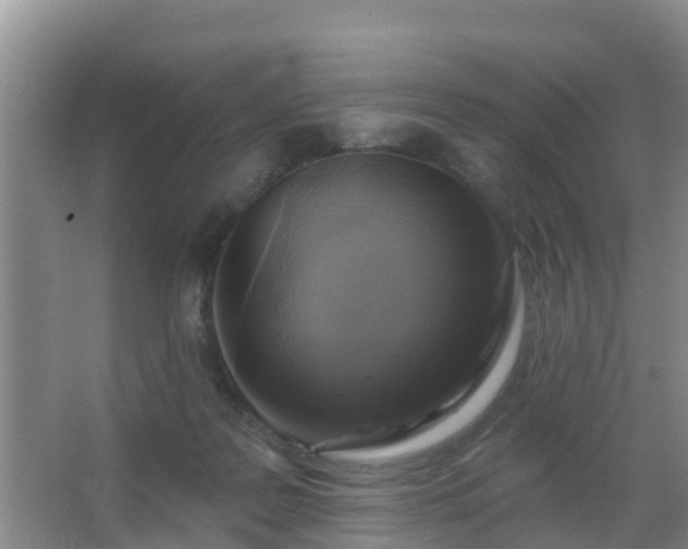 X0000067490219200604150050