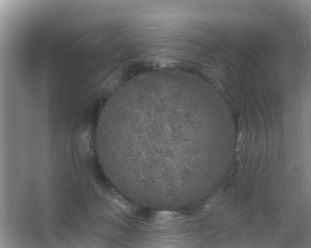 X0000067490222200604150050