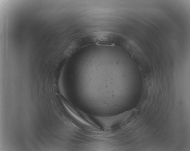 X0000067490223200604150050