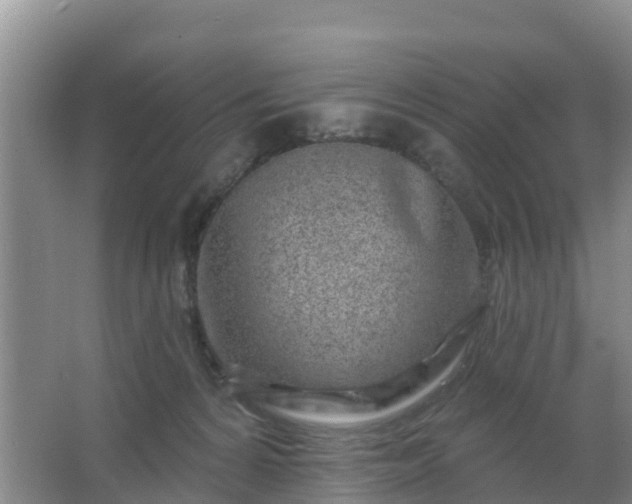 X0000067490224200604150050