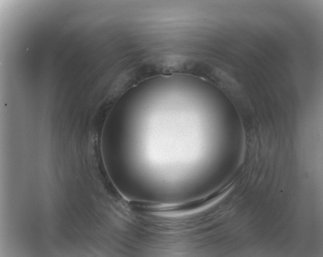 X0000067490225200604150050