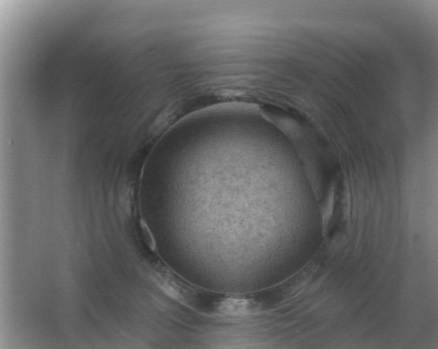 X0000067490227200604150050