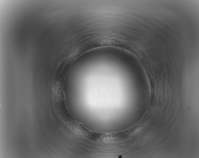 X0000067490228200604150050