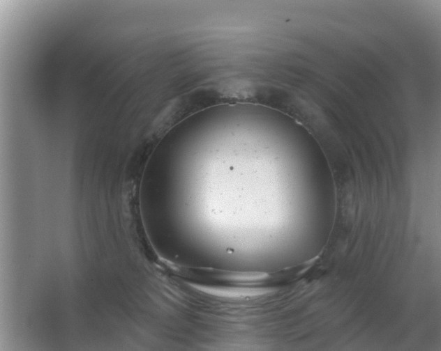 X0000067490229200604150050