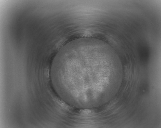 X0000067490230200604150050