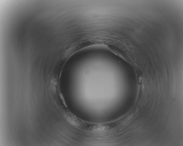 X0000067490235200604150050