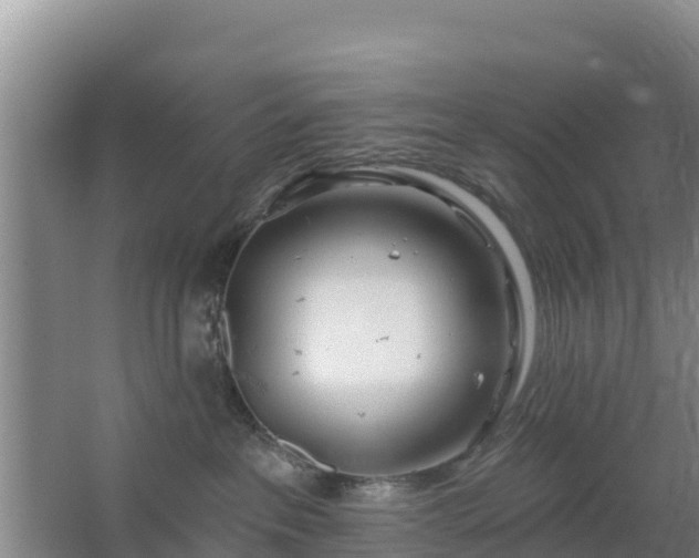 X0000067490237200604150050