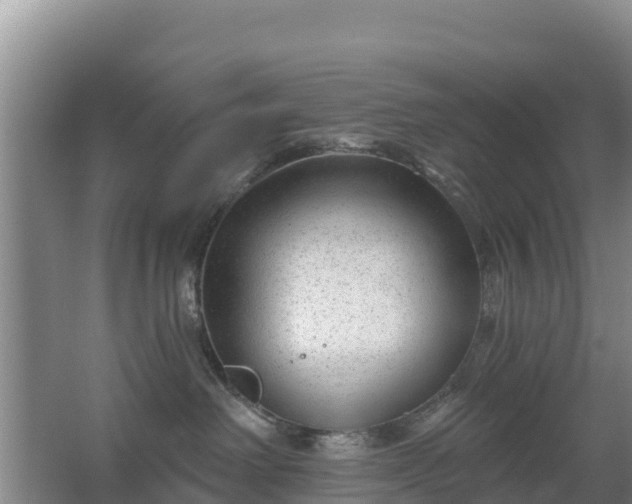 X0000067490238200604150050