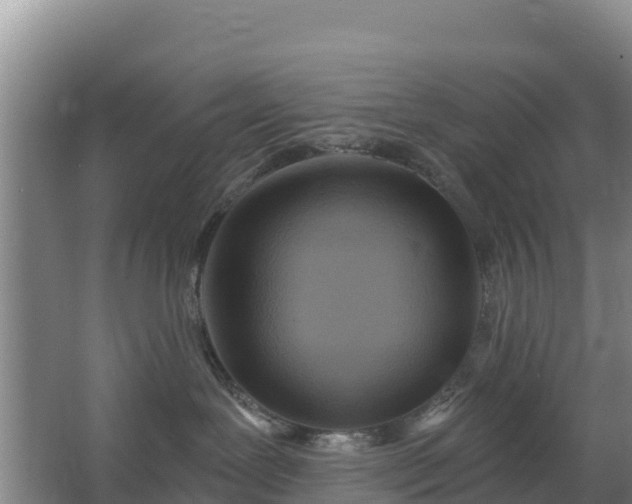 X0000067490239200604150050