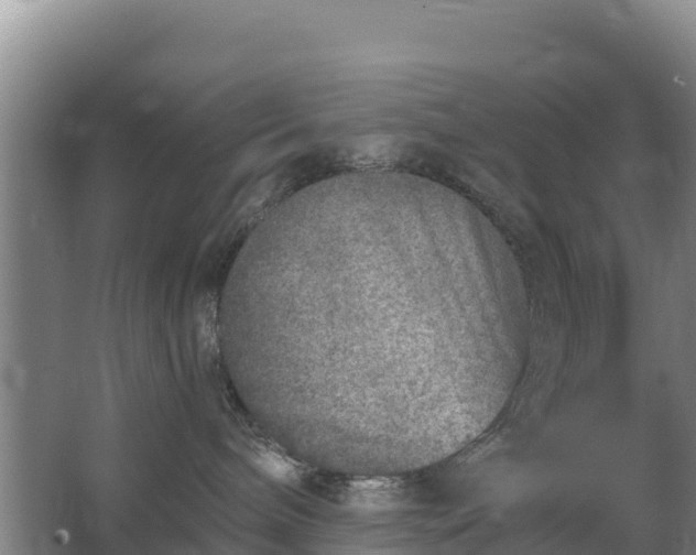 X0000067490240200604150050