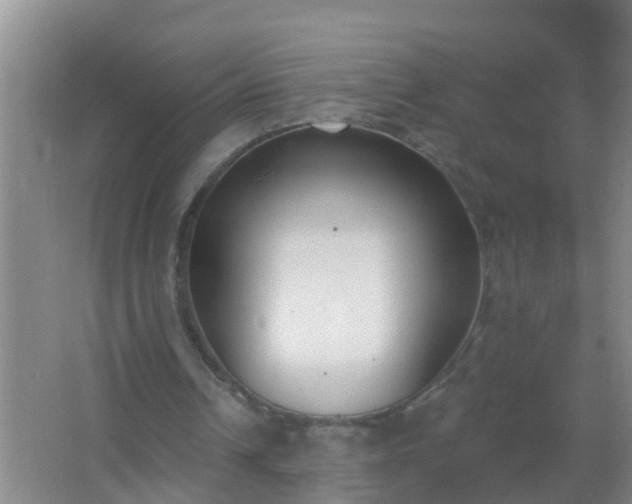 X0000067490242200604150049