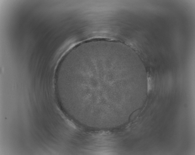 X0000067490243200604150049