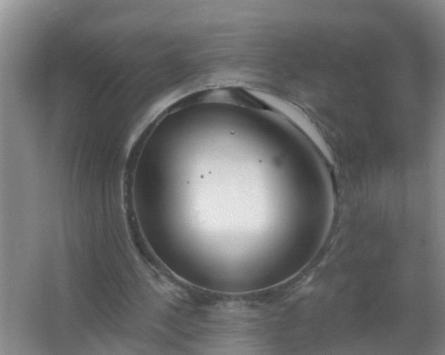 X0000067490244200604150049