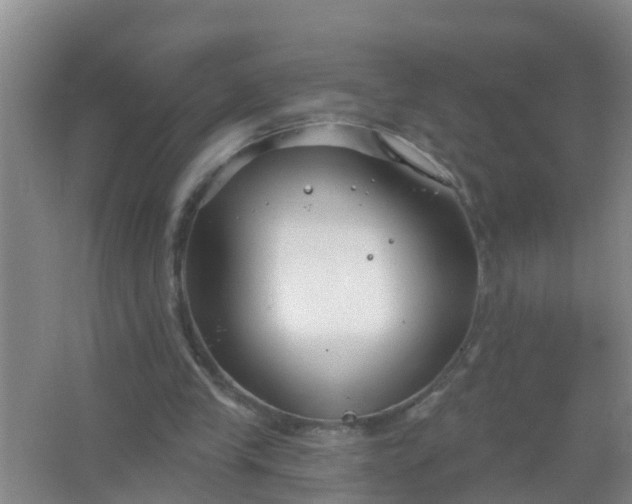 X0000067490245200604150049