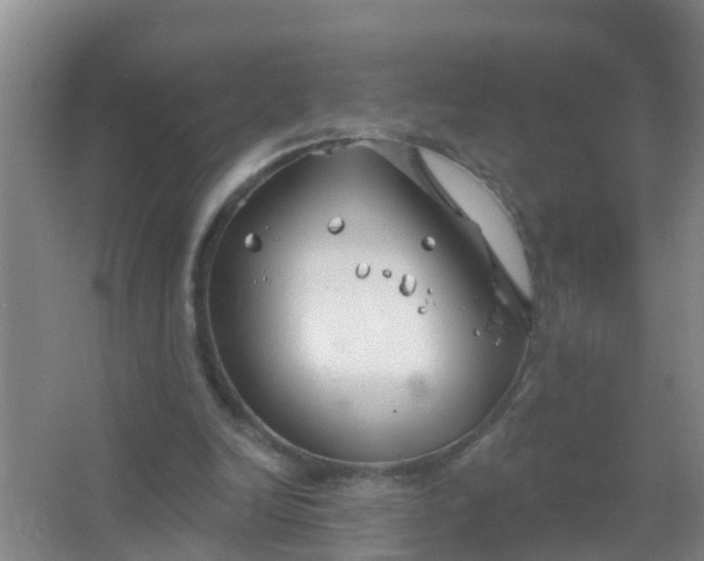 X0000067490246200604150049