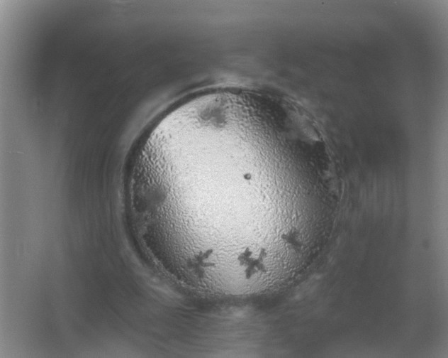 X0000067490247200604150049