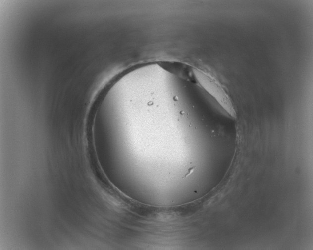 X0000067490248200604150049