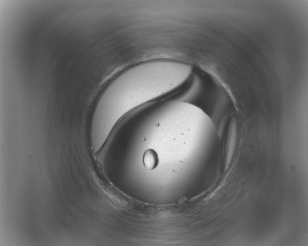 X0000067490249200604150049